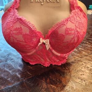 Victoria Secret Bra 34DD Lined Demi Red Crochet Lace Long Line Body by Victoria